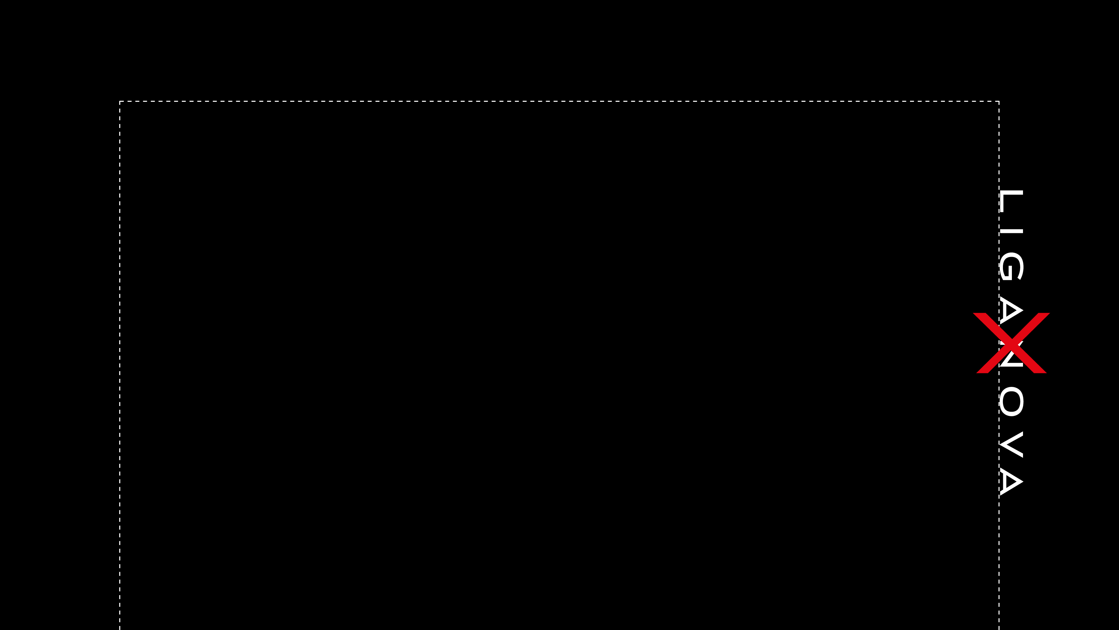 LIG_LOGO_NEVER_02